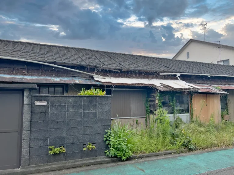 雑草や庭木が茂った住宅の敷地